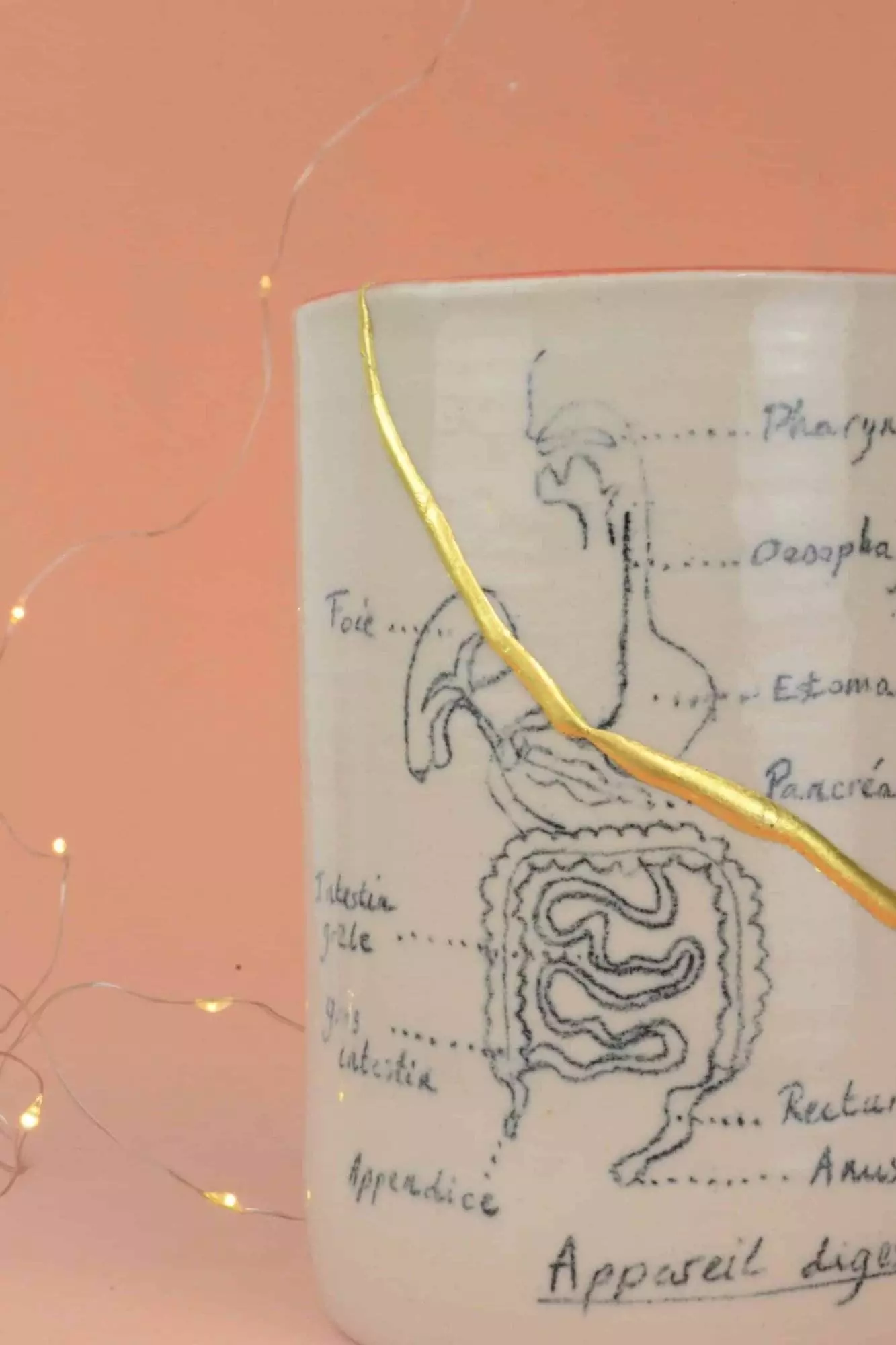 kintsugi musarde plan large
