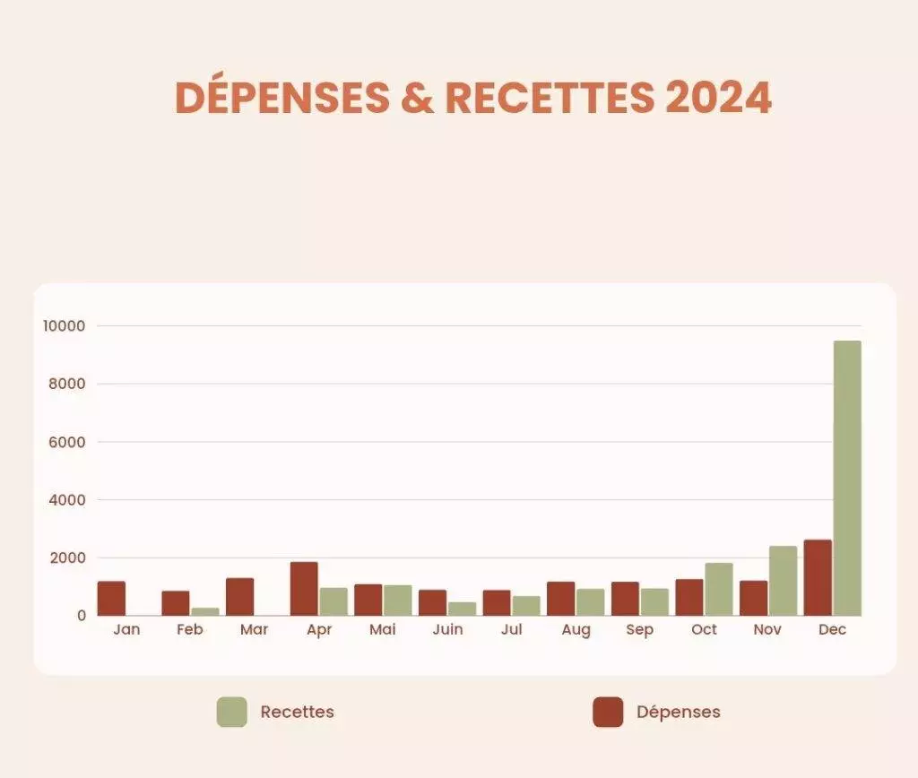 depenses et recettes 2024